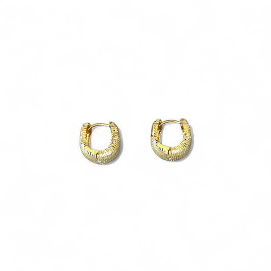 Soli 14k Color Rhodium Plated Earrings