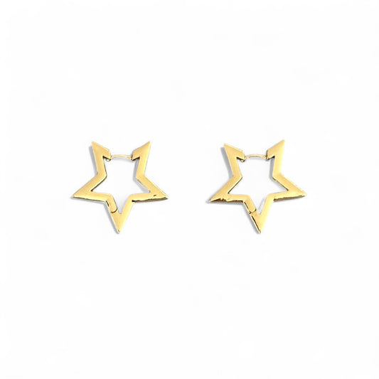 Star 14k Rhodium Plated Earrings