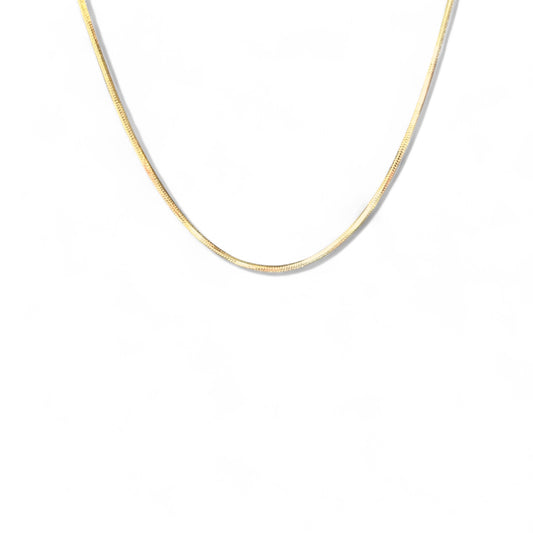 Gina 14k 45cm Rodyum Kaplama Zincir