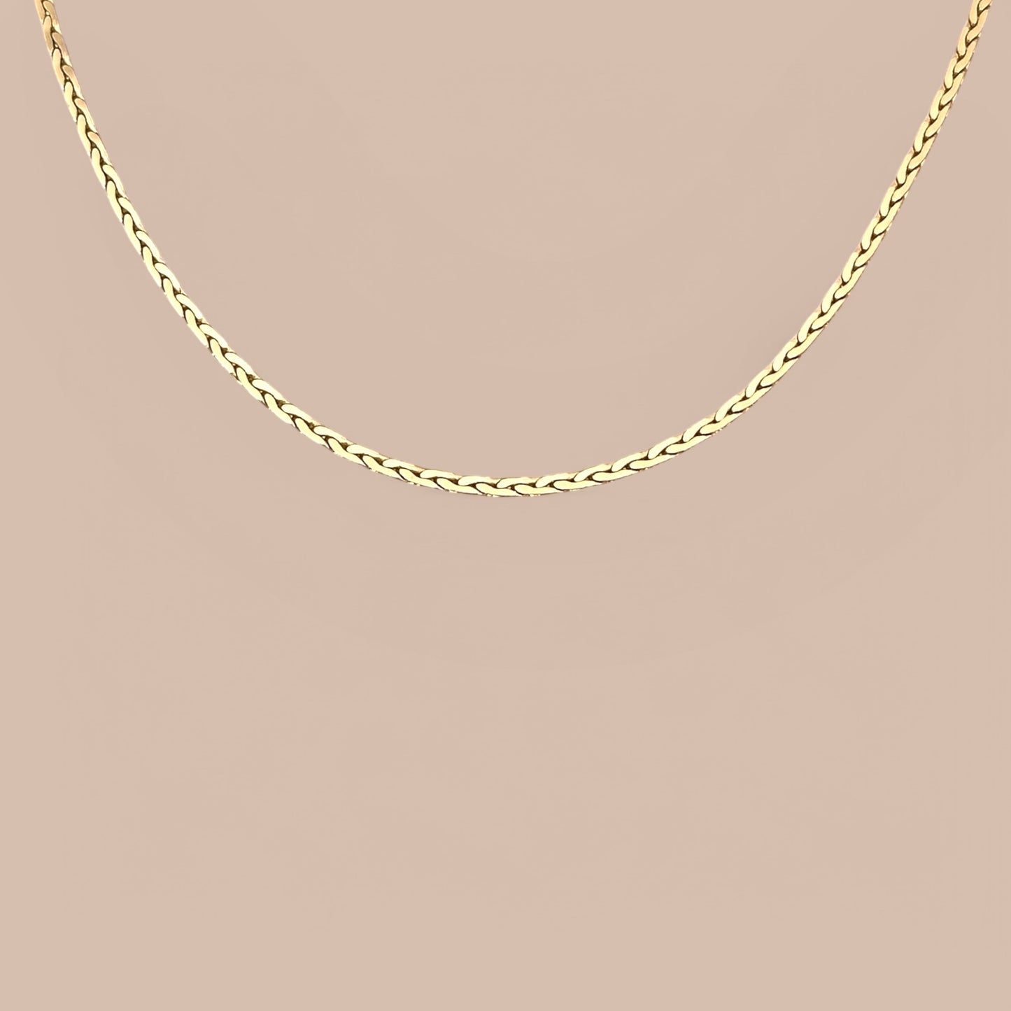 Merra 14k Rhodium Plated Chain