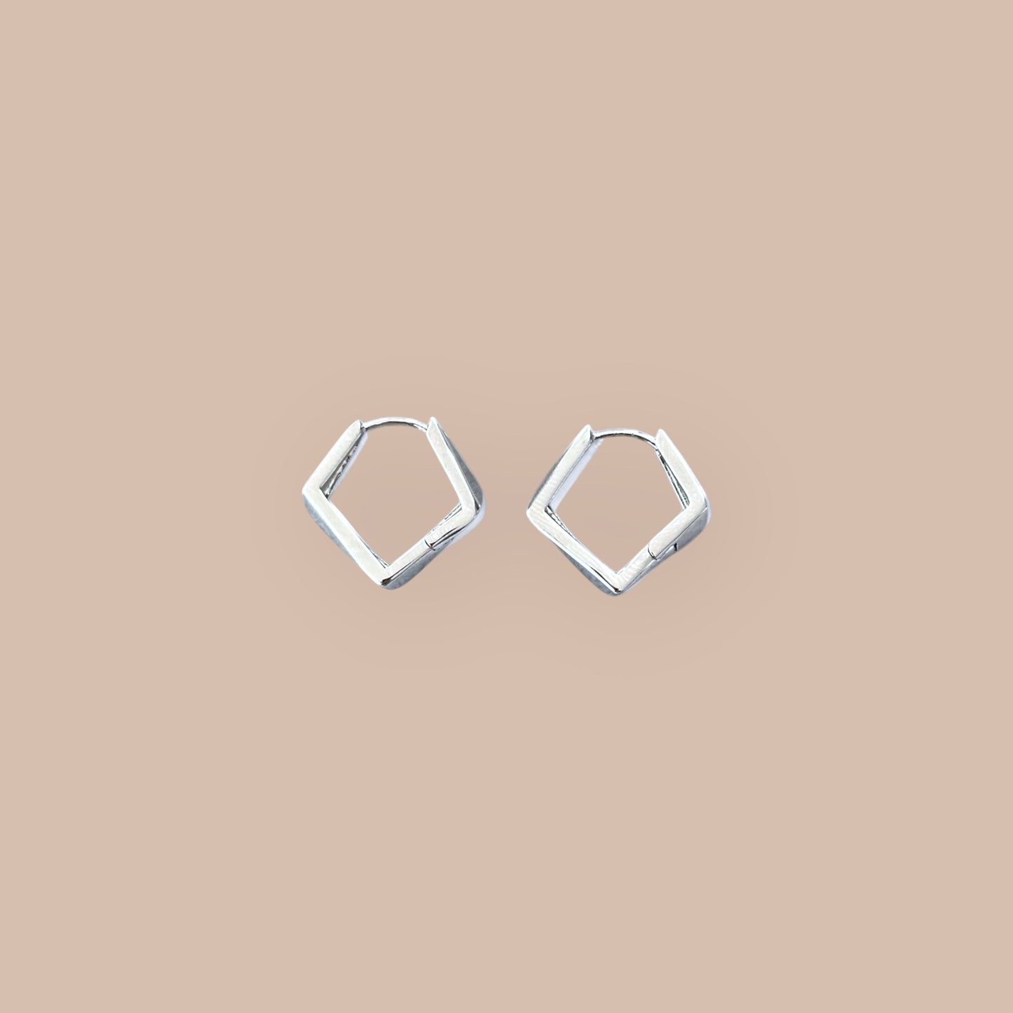 Fubby Rhodium Plated Mini Earrings