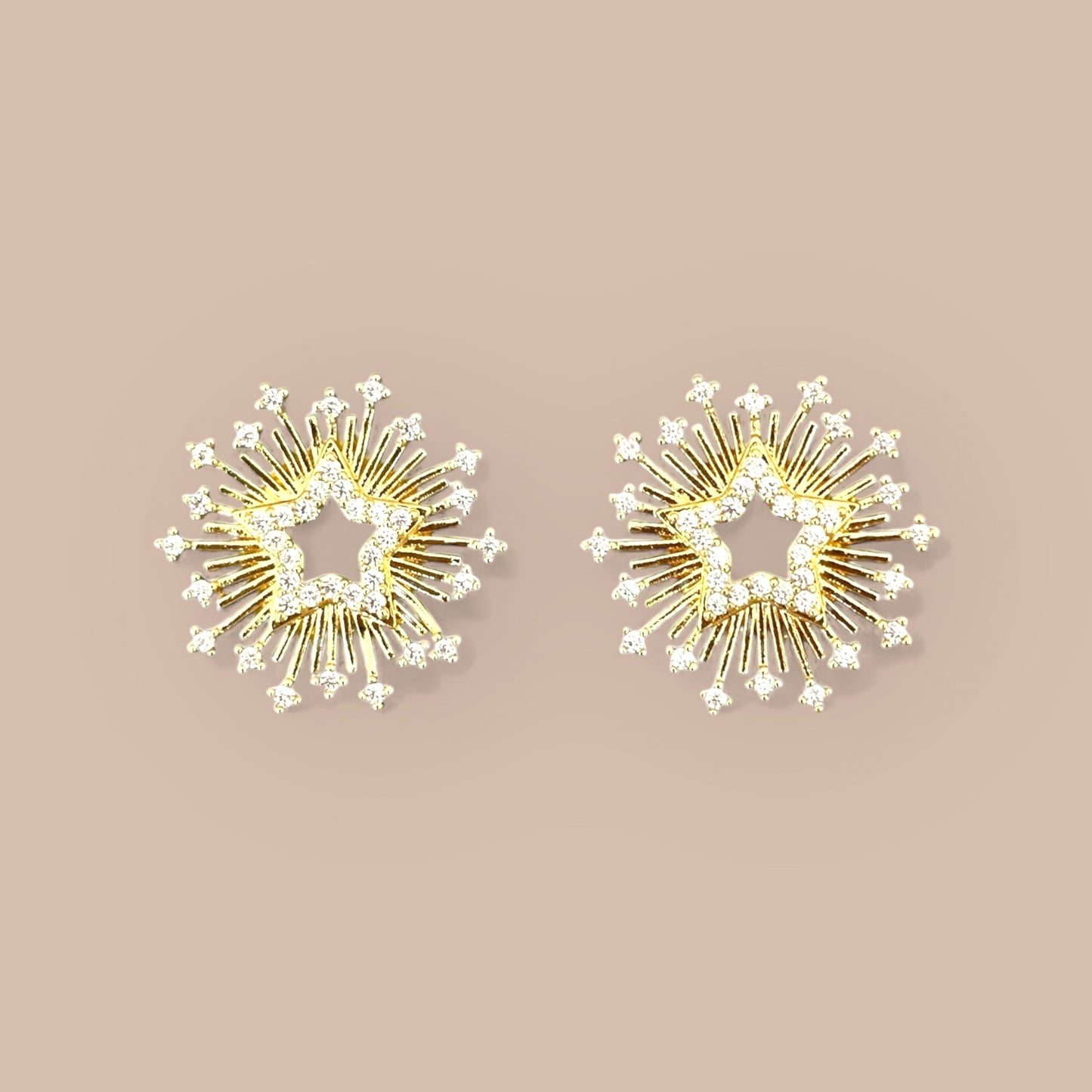 Senata 14k Rhodium Plated Earrings