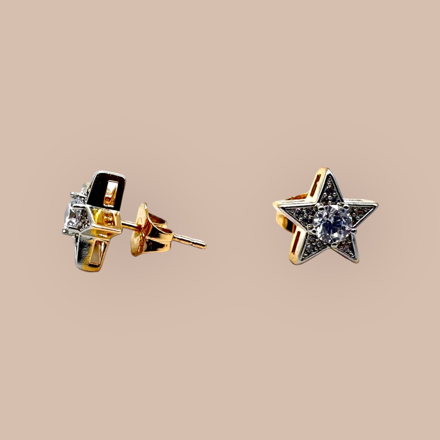 Star Rose Earring