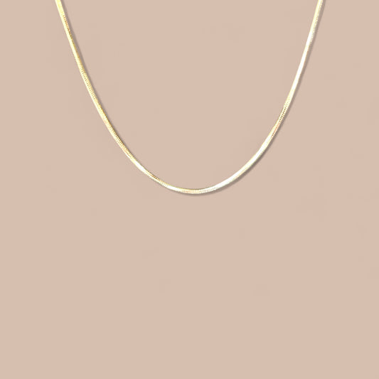 Gina 14k 45cm Rodyum Kaplama Zincir