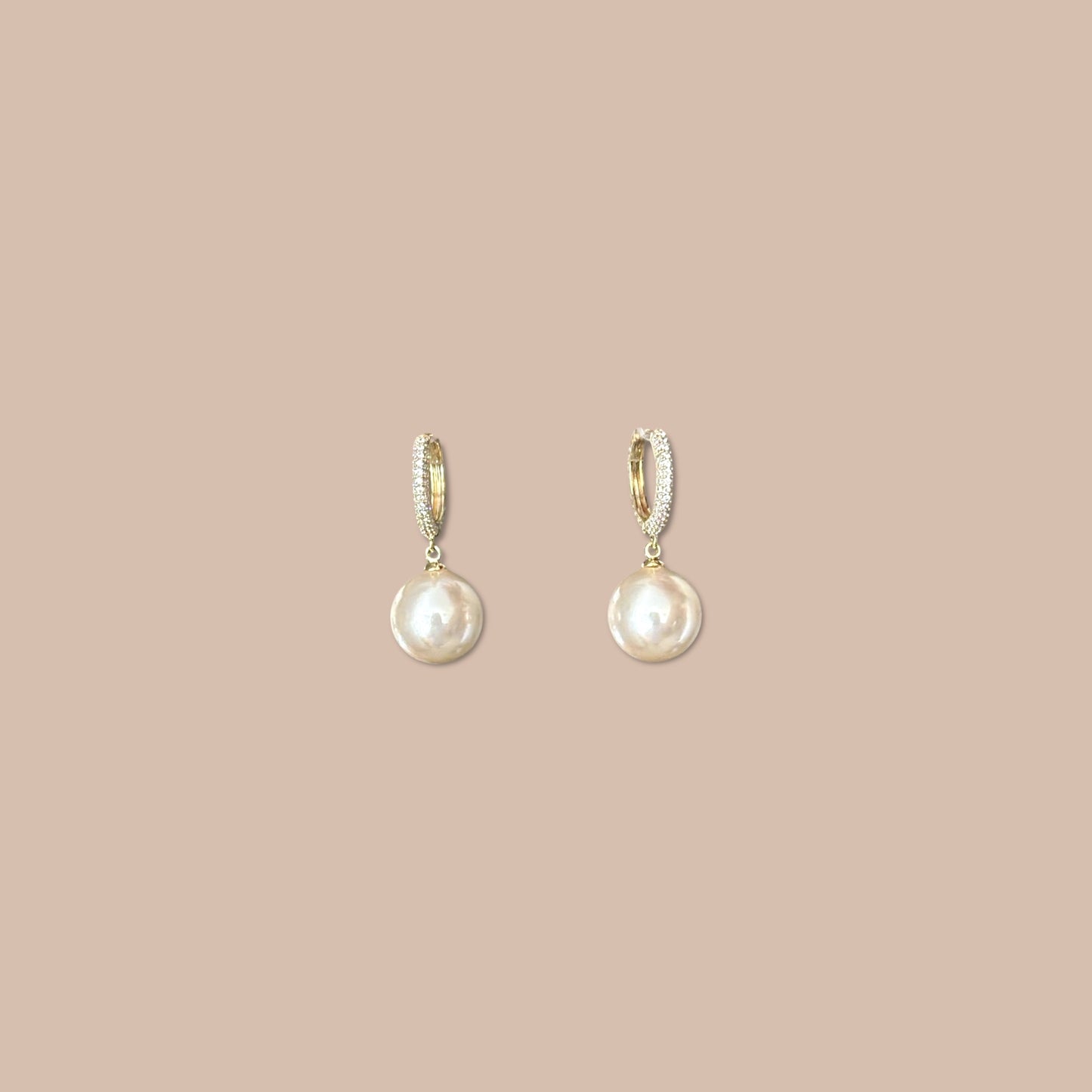 Pinna-s 14k Rhodium Plated Earrings