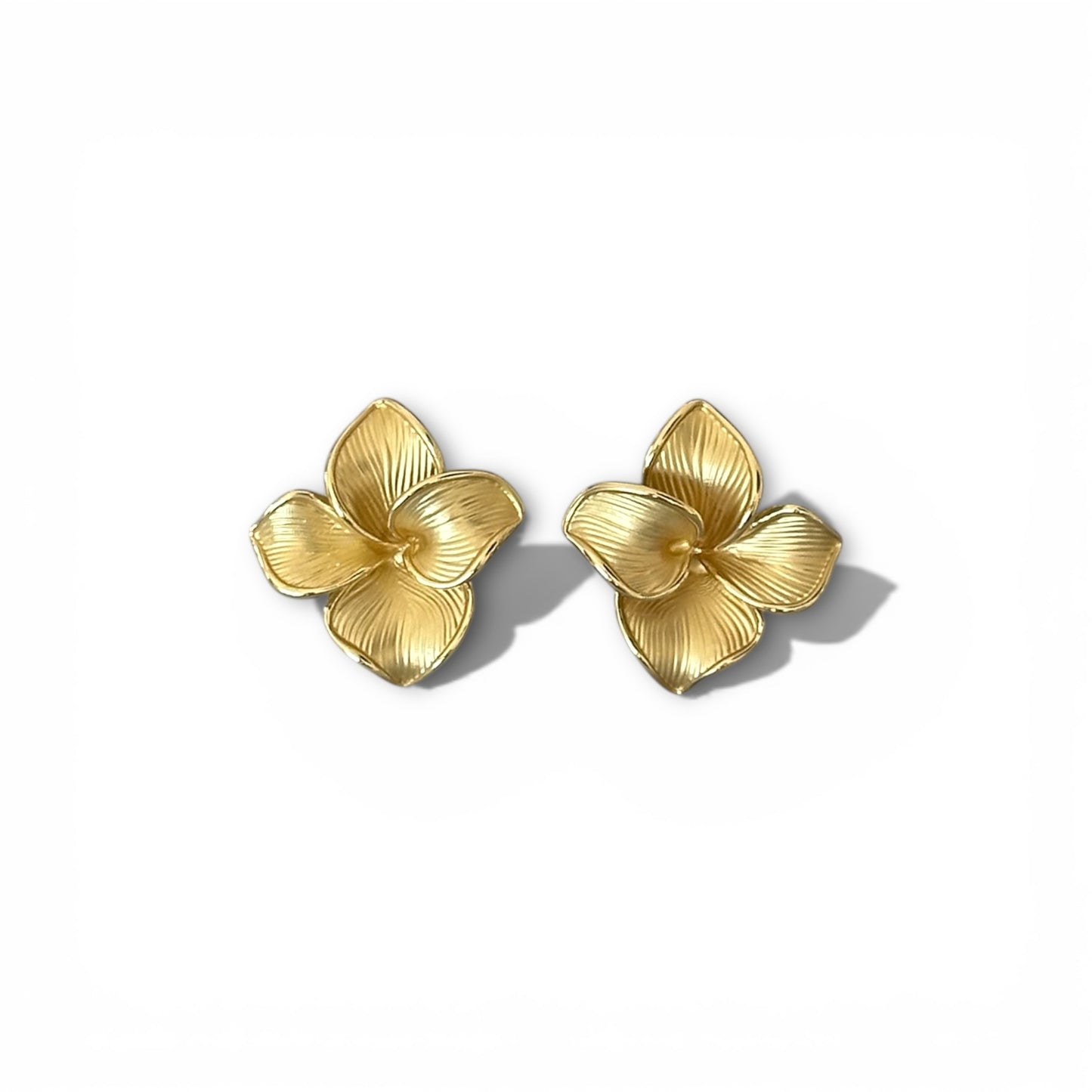 Elyra 14k Rhodium Plated Earrings